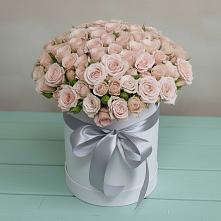 Цветочная композиция из Розы в шляпной коробке в Нефтегорске Краснодарского края