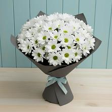 Букет цветов из:  Хризантемы #REPLACE_PRED# Нефтегорске Краснодарского края