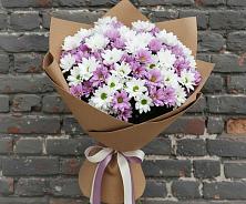 Букет цветов из:  Хризантемы в Нефтегорске Краснодарского края