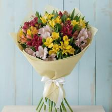 Букет цветов из:  Альстромерии в Нефтегорске Краснодарского края