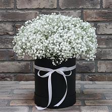 Цветочная композиция из Гипсофила в шляпной коробке в Нефтегорске Краснодарского края