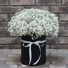 Цветочная композиция из Гипсофила в шляпной коробке в Нефтегорске Краснодарского края