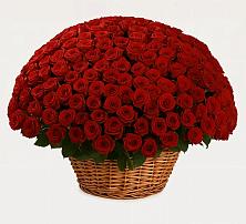 Премиум букет из: Розы в Нефтегорске Краснодарского края