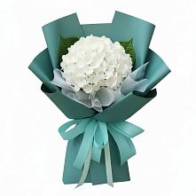 Букет цветов из:  Гортензия #REPLACE_PRED# Нефтегорске Краснодарского края